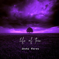 Scheme Night - Joshu  Verve