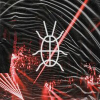 Night Hunter - Vanta