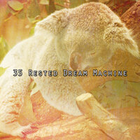 Focus On Sleeping - Relaxing Spa Music