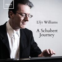Sonata in A Minor, Op. 42, D. 845: III. Scherzo Allegro vivace - Llyr Williams & Франц Шуберт