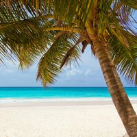 Stress-Free Living - Music for Reading