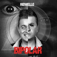What Do You Like - Ridwello