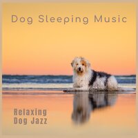 Warm and Safe - Dog Sleeping Music