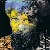 Pasiones, Guerrillas y Muertes - Cultura Profética