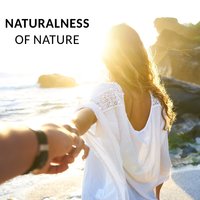 Contemplation (Soft Piano) - Nature Music Sanctuary