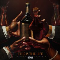 This Is The Life - Springz & Cash BFD