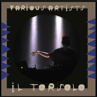 vimānas विमान - Il Torsolo