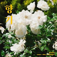 Fragrance (with.mOOn) - Homeboy & Red