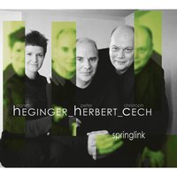Springlink - Agnes Heginger