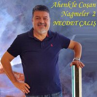 Kurut Kurutabilirsen Gözyaşlarını - Necdet Çalış