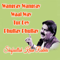 Wangray Wangray Waal Way Tur Dey Phullay Phullay - Shafaullah Khan Rokhri