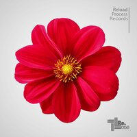 Paradigma - Le Dhan, Damo U & Le Dhan & Damo U