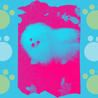 Bubbly Ambiance for Relaxing Your Dog - Relaxing Dog Music Beats