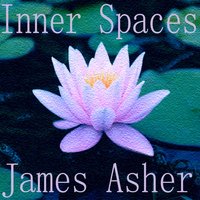 Network of Light - James Asher