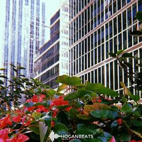 That good - HoganBeats