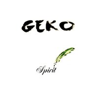 Spirit - Geko