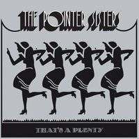 That's A Plenty / Surfeit, U.S.A. - The Pointer Sisters