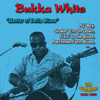 Sleepy Man Blues - Bukka White
