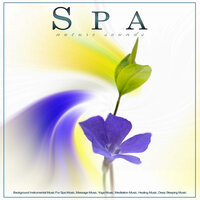 Relaxing Zen Sounds - Guitar Spa Aid - Spa Music Relaxation & Spa Playlist & Amazing Spa Music