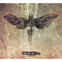 ReFeel - Cooh