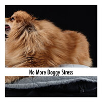 Dog Chillout - Dog Chill Out Music