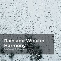 Windy Pouring Rain - Rain Sounds & White Noise & Raindrops Sleep & Sleep Rain
