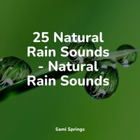 Flowing Rains - Regengeräusche & Sonido Del Bosque y Naturaleza & Study Power