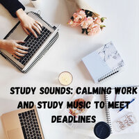 Harmonious Construction - Brain Timbre & Hi Freq Samples & Study Music & Sounds