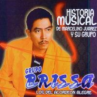 Que Voy a Hacer Sin Ti - Grupo Brissa