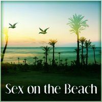 Summer Lovers - Sex Music Zone