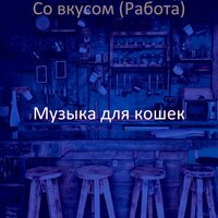 Атмосфера (Дождливые дни) - Музыка для кошек