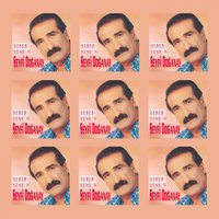 Olmayınca - Seyfi Doğanay