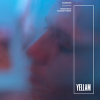 Dozen Roses - Yellam