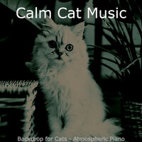 Playful Kittens - Calm Cat Music