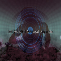 Серенада для души - Zen Meditation and Natural White Noise and New Age Deep Massage