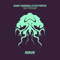 Safe Passage - Randy Seidman & Steve Porter