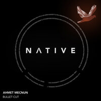 Can't Hold Us - Ahmet Mecnun