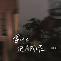 拿什么记着我呢 - 番番