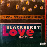 Black Berry Love The 11th Hour - MissFly & Sean Ali & Munk Julious