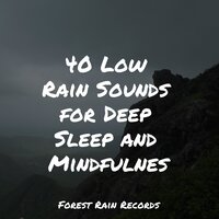 Splish Splosh Rain - Water Soundscapes & Musique Zen Garden