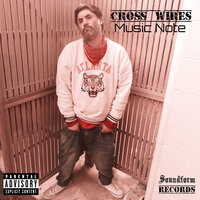 Hollowpoint Tip - Cross Wires
