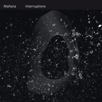 Elephant - Manana