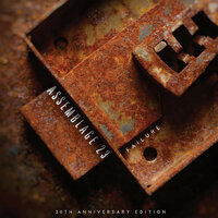 Awake - Assemblage 23 & Patrick Codenys