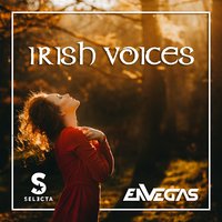 Irish Voices - DJ Selecta