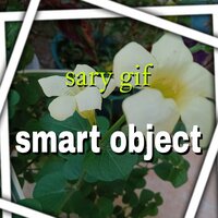 gold car smart object you - sary gif