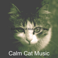 Astounding Ambiance for Relaxing Your Cat - Calm Cat Music
