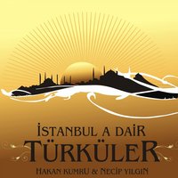 Boyda Bosun Yoktur ( Enstrümantal ) - Necip Yılgın & Hakan Kumru