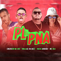 PL & PNA - Mc Bea & Emerson na Voz & Wallace Na Base & meta safadao
