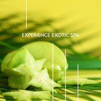 Taste Some Tropical Fruits - Tropical Chill Music Land