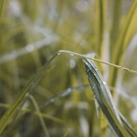 Relájate Por Dentro - Meditar Profundamente & Relajar & Naturaleza